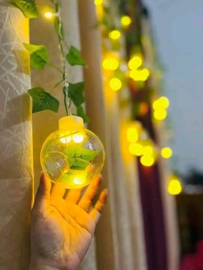 Wish Ball Leaf Curtain Light - 10 feet, 12 Wish Ball_img_1